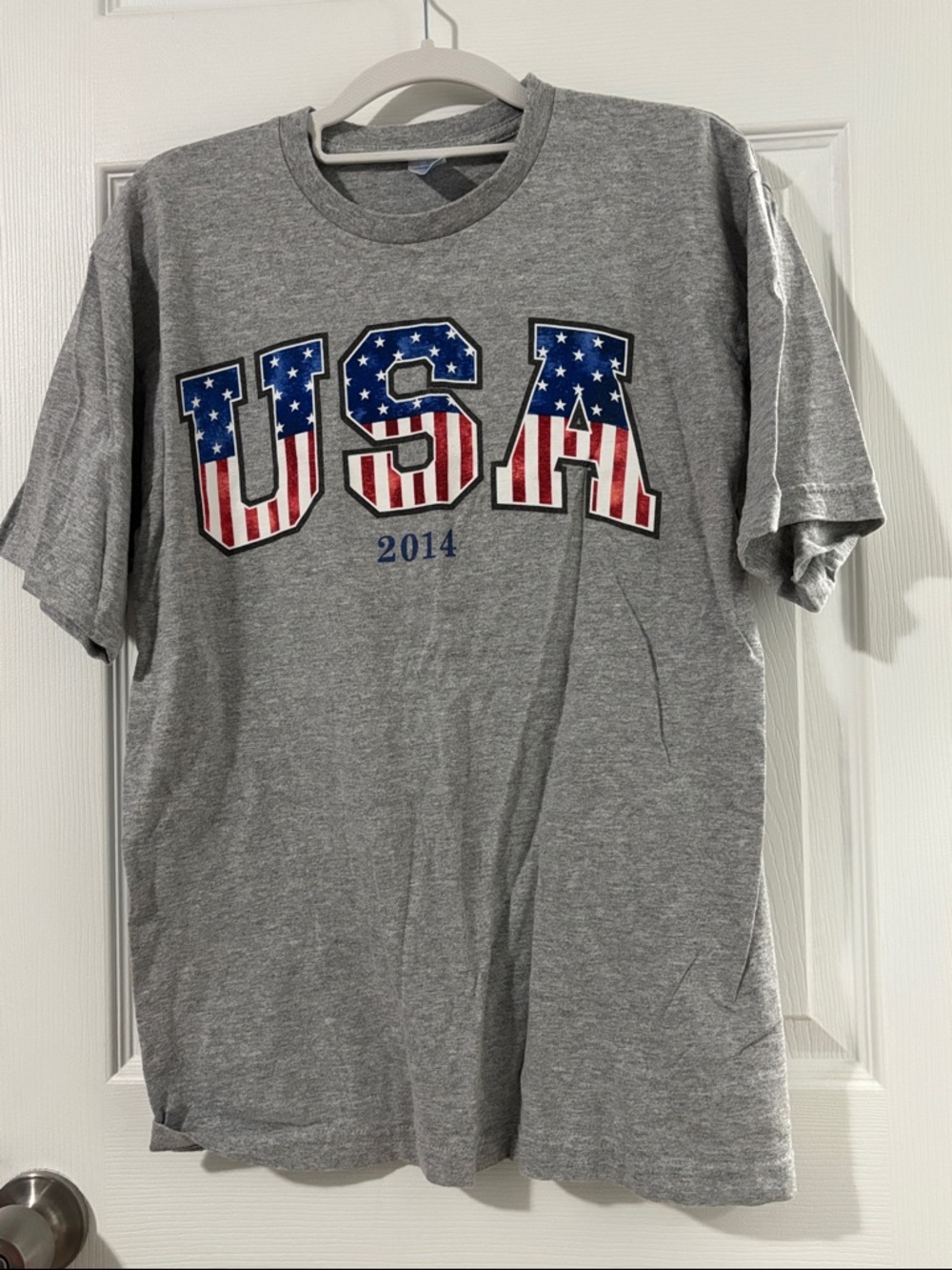 USA Graphic Tee - Grey Men’s Shirt